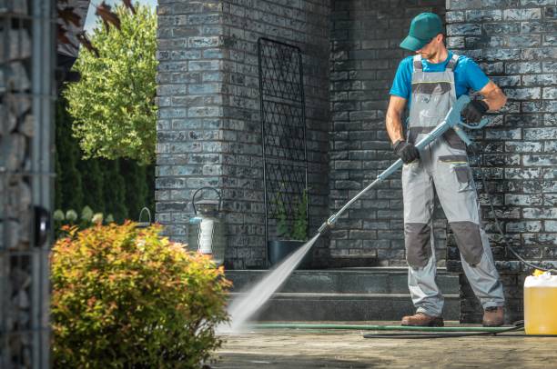 Best Roof Washing  in Corunna, MI