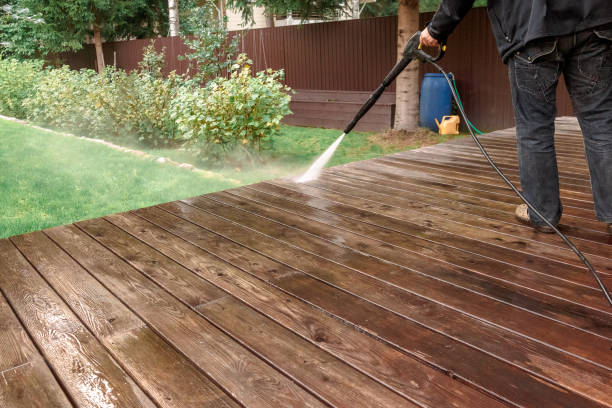 Best Rust Removal  in Corunna, MI