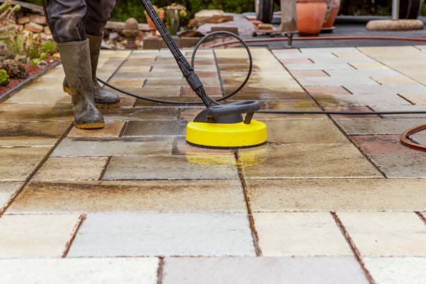 Best Winterizing Services  in Corunna, MI