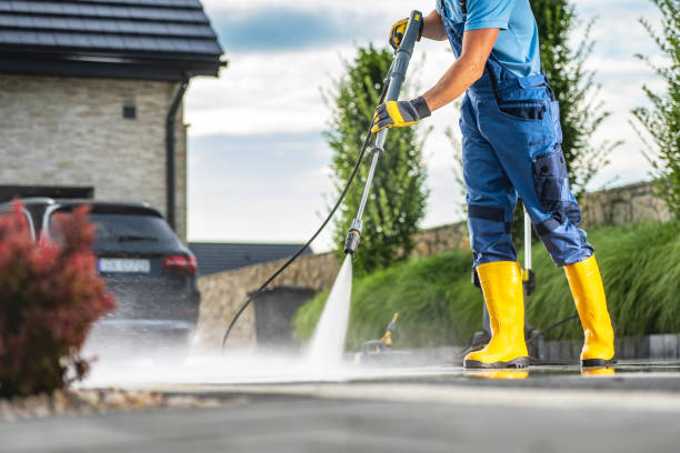 Best Animal Enclosure Cleaning  in Corunna, MI